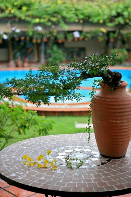 Bài trí cây cảnh ngày Tết Bài trí cây cảnh ngày Tết